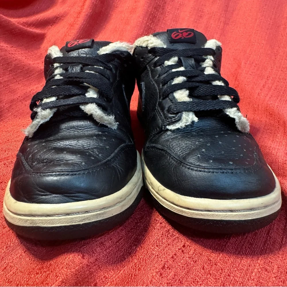 NIKE Rare Dunk‎ Low 6.0 Women's 8/Mens 6.5 454760-001, EUC